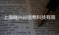 上海曉興谷信息科技有限公司(關于上海曉興谷信息科技有限公司簡述)