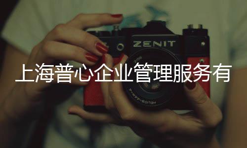 上海普心企業(yè)管理服務(wù)有限公司(關(guān)于上海普心企業(yè)管理服務(wù)有限公司簡述)