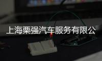 上海栗強汽車服務有限公司(關于上海栗強汽車服務有限公司簡述)