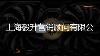 上海毅升營(yíng)銷顧問有限公司(關(guān)于上海毅升營(yíng)銷顧問有限公司簡(jiǎn)述)