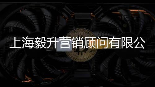 上海毅升營銷顧問有限公司(關于上海毅升營銷顧問有限公司簡述)