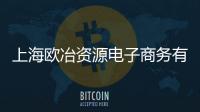 上海歐冶資源電子商務(wù)有限公司(關(guān)于上海歐冶資源電子商務(wù)有限公司簡述)