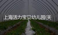 上海活力寶貝幼兒園(關于上海活力寶貝幼兒園簡述)