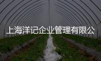 上海洋記企業管理有限公司(關于上海洋記企業管理有限公司簡述)