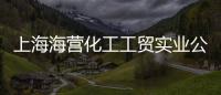 上海海營化工工貿實業公司(關于上海海營化工工貿實業公司簡述)