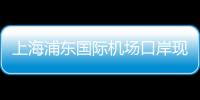 上海浦東國際機(jī)場(chǎng)口岸現(xiàn)進(jìn)博會(huì)參展觀展外籍人員入境高峰