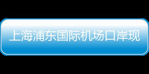 上海浦東國際機場口岸現進博會參展觀展外籍人員入境高峰