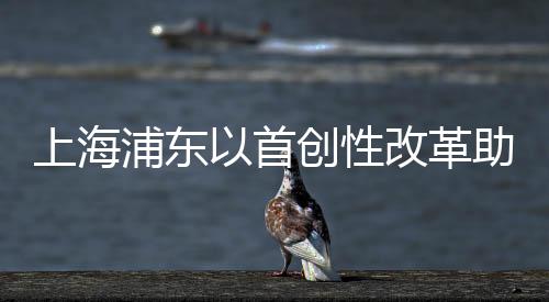 上海浦東以首創(chuàng)性改革助高質(zhì)量發(fā)展