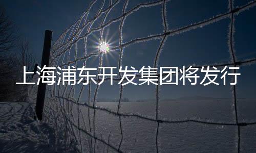 上海浦東開發集團將發行10億元公司債 票面利率3.30%