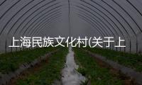 上海民族文化村(關于上海民族文化村簡述)