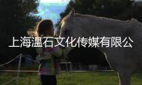 上海溫石文化傳媒有限公司(關(guān)于上海溫石文化傳媒有限公司簡述)