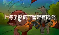 上海孚聚資產管理有限公司(關于上海孚聚資產管理有限公司簡述)