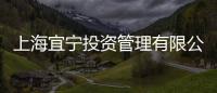 上海宜寧投資管理有限公司(關于上海宜寧投資管理有限公司簡述)