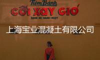 上海寶業混凝土有限公司(關于上海寶業混凝土有限公司簡述)