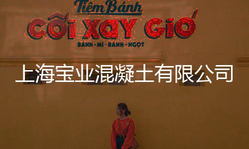 上海寶業混凝土有限公司(關于上海寶業混凝土有限公司簡述)