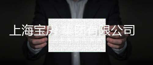 上海寶房 集團有限公司(關于上海寶房 集團有限公司簡述)