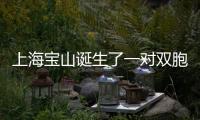 上海寶山誕生了一對雙胞胎寶寶 取名諧音上下左右走紅