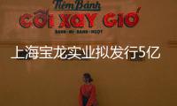 上海寶龍實業(yè)擬發(fā)行5億元超短期融資券 期限為270天