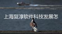 上海復淳軟件科技發展怎么樣和上海復淳軟件科技發展的情況說明