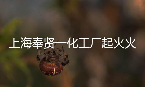 上海奉賢一化工廠起火火勢已控制