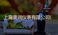 上海奧潤儀表有限公司(關于上海奧潤儀表有限公司簡述)