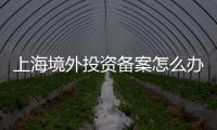 上海境外投資備案怎么辦理？