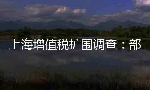 上海增值稅擴圍調查：部分物流企業稅負增兩倍