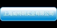 上海威特朗實業有限公司(關于上海威特朗實業有限公司簡述)
