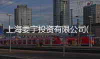 上海婁宇投資有限公司(關于上海婁宇投資有限公司簡述)