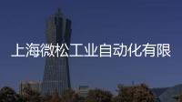 上海微松工業自動化有限公司(關于上海微松工業自動化有限公司簡述)