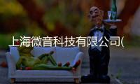 上海微音科技有限公司(關于上海微音科技有限公司簡述)