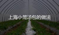 上海小籠湯包的做法