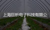 上海巨析電子科技有限公司(關于上海巨析電子科技有限公司簡述)