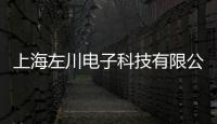 上海左川電子科技有限公司(關(guān)于上海左川電子科技有限公司簡(jiǎn)述)
