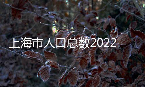 上海市人口總數2022排世界第幾名（上海市人口總數2022）