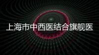 上海市中西醫(yī)結合旗艦醫(yī)院建設名單公布！（附評價指標體系）