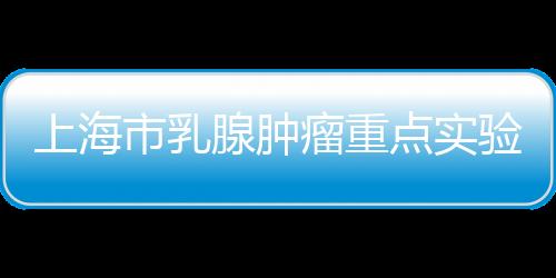 上海市乳腺腫瘤重點(diǎn)實(shí)驗(yàn)室（籌）邁開(kāi)關(guān)鍵的“第一步”