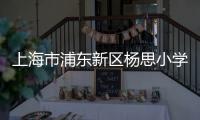 上海市浦東新區(qū)楊思小學(xué)(關(guān)于上海市浦東新區(qū)楊思小學(xué)簡述)