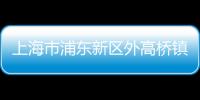 上海市浦東新區外高橋鎮衛生院(關于上海市浦東新區外高橋鎮衛生院簡述)