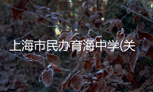 上海市民辦育海中學(關于上海市民辦育海中學簡述)