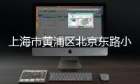 上海市黃浦區北京東路小學(關于上海市黃浦區北京東路小學簡述)