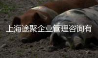 上海途聚企業(yè)管理咨詢有限公司(關(guān)于上海途聚企業(yè)管理咨詢有限公司簡述)
