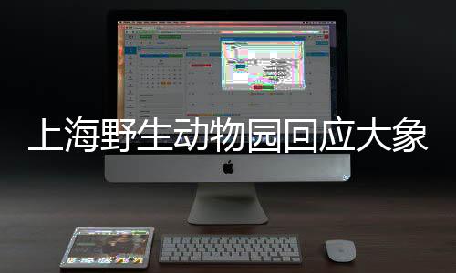 上海野生動(dòng)物園回應(yīng)大象群體霸凌 已采取保護(hù)措施