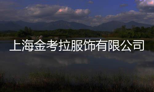 上海金考拉服飾有限公司(關(guān)于上海金考拉服飾有限公司簡(jiǎn)述)