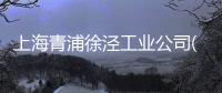 上海青浦徐涇工業公司(關于上海青浦徐涇工業公司簡述)