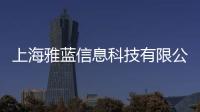 上海雅藍(lán)信息科技有限公司(關(guān)于上海雅藍(lán)信息科技有限公司簡(jiǎn)述)