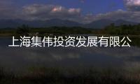 上海集偉投資發展有限公司(關于上海集偉投資發展有限公司簡述)