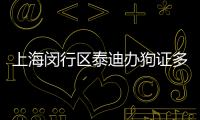 上海閔行區泰迪辦狗證多少錢啊(上海養泰迪要辦狗證嗎)