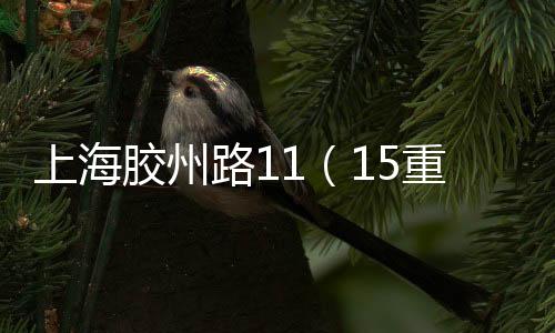 上海膠州路11（15重大火災事件）