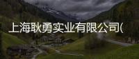 上海耿勇實業有限公司(關于上海耿勇實業有限公司簡述)